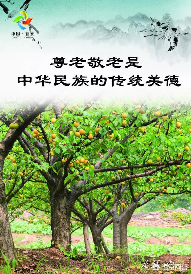 夫妻之间因为夫妻生活产生了矛盾，怎么办？