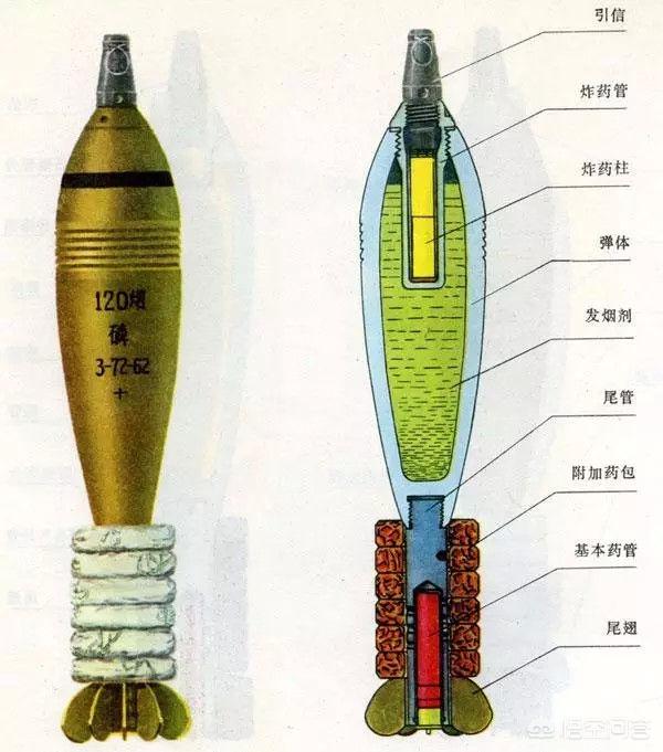 供应尼龙丝印宠物牵引带套装:有哪些是养狗过程中很实用的道具？