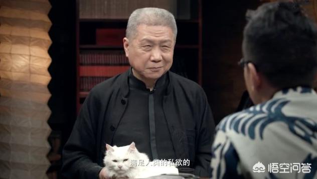 好看的访谈节目:国内外，谁的访谈节目值得一看？