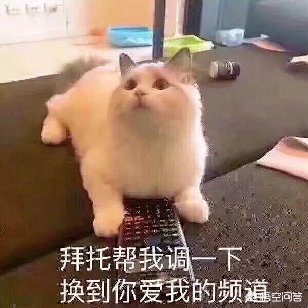 谈恋爱就像打<a href=https://maguai.com/list/48-0-0.html target=_blank class=infotextkey>游戏</a>，是吗为什么说它是<a href=https://maguai.com/list/48-0-0.html target=_blank class=infotextkey>游戏</a>