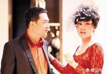 蜗居宋思明扮演者:你认为与张嘉译在电视剧中搭戏最般配的女演员是谁？