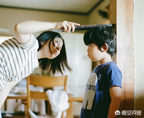 小俊介图片:俊介犬有很多的眼屎，是因为上火的关系吗？