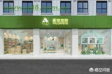 另类宠物店加盟创业计划方案:宠物店加盟都需要什么条件？