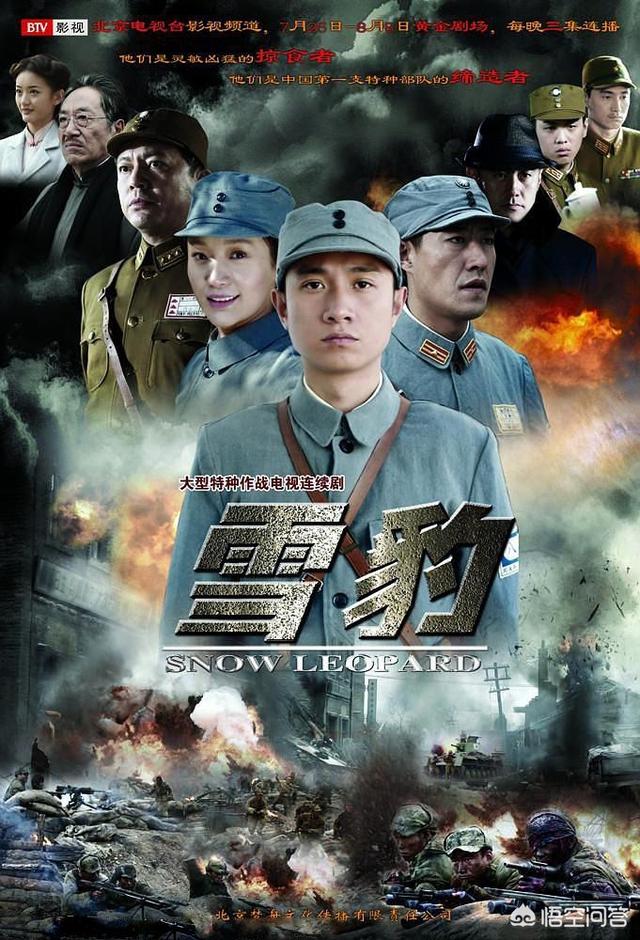 除了《亮剑》,像《我的团长我的团》一样好看的抗日剧还有哪些？