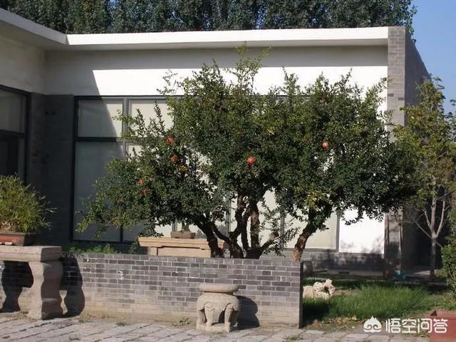 孟州滨河公园荷花花期多少天:孟州滨河公园赏荷花最好时间 河南有哪些赏花的好地方？
