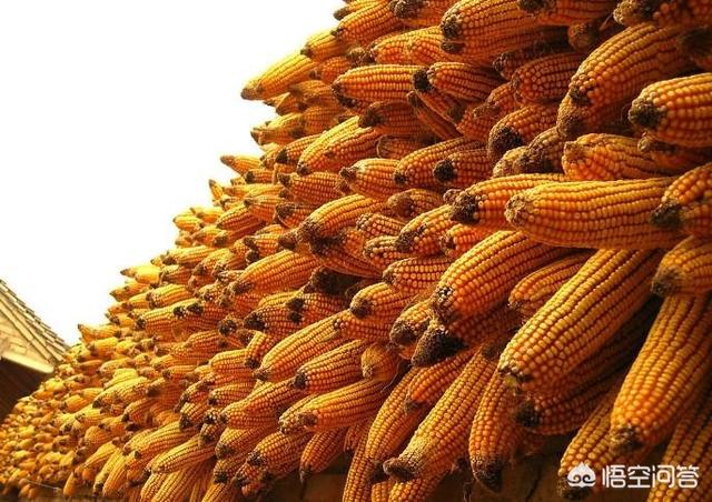 玉是什么时候发现的,与玉相关的故事你都知道哪些？