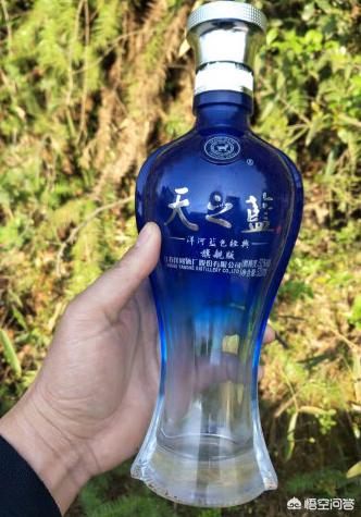 高中毕业十年聚,白酒用天之蓝怎么样？