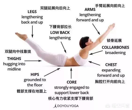 瑜伽狗:自学瑜伽，哪些动作容易练错？ 瑜伽狗头像