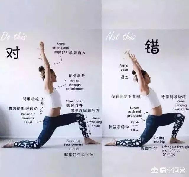 瑜伽狗:自学瑜伽，哪些动作容易练错？ 瑜伽狗头像