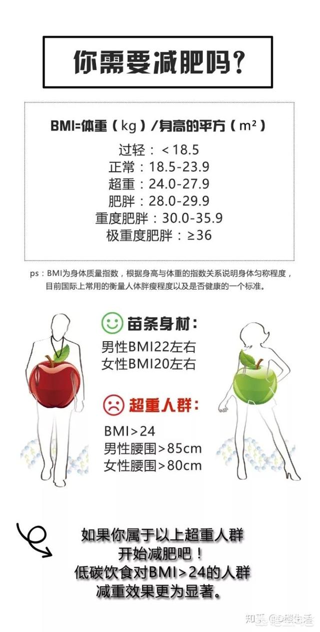 低碳饮食法真的能变瘦吗？该怎么安排饮食？