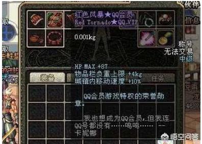 dnf迷你罗特斯1号:DNF最稀有的物品你见过几个？