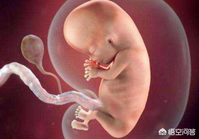 孕妇能吃油桃吗(孕妇能吃油桃吗?)