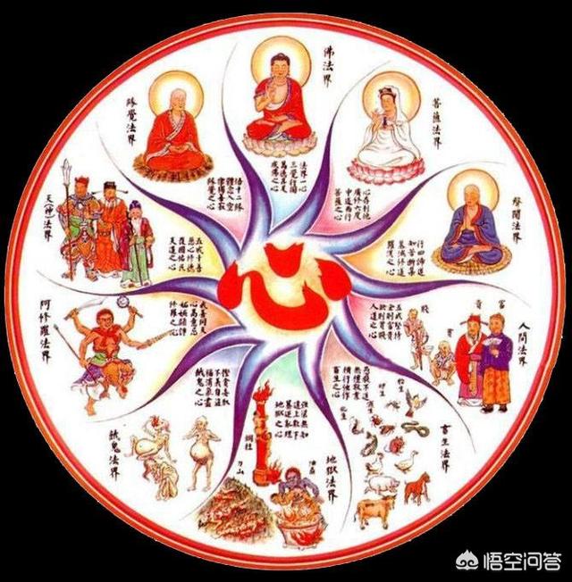 可怜之人必有可恨之处是这样的吗