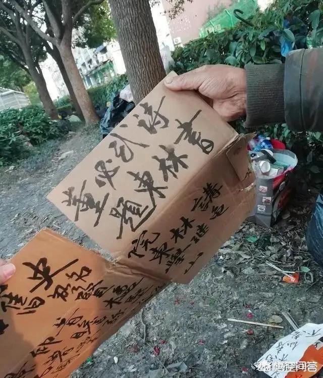 上海流浪狗:上海警方：三个月收容流浪犬上万只, 你怎么看？
