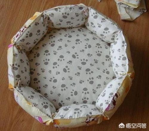 猫咪绝育后照片:猫绝育后脸变小了，公猫绝育后脸变尖怎么办？
