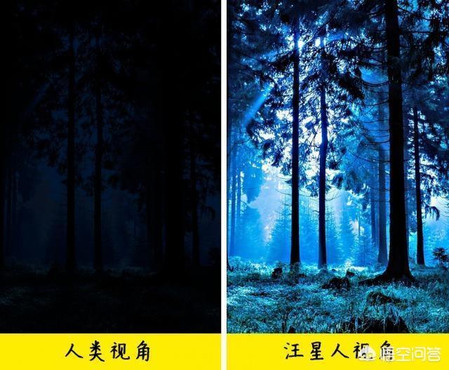 改变世界的犬类 mkv:狗狗的眼睛里看到的世界是什么样的？