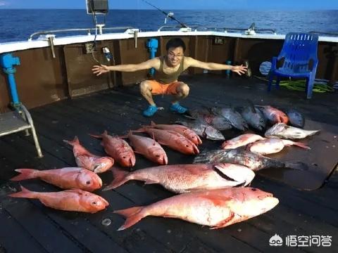 台湾成功港旗鱼价格多少钱一斤:如果让你出海钓一次鱼，你愿意出多少钱？
