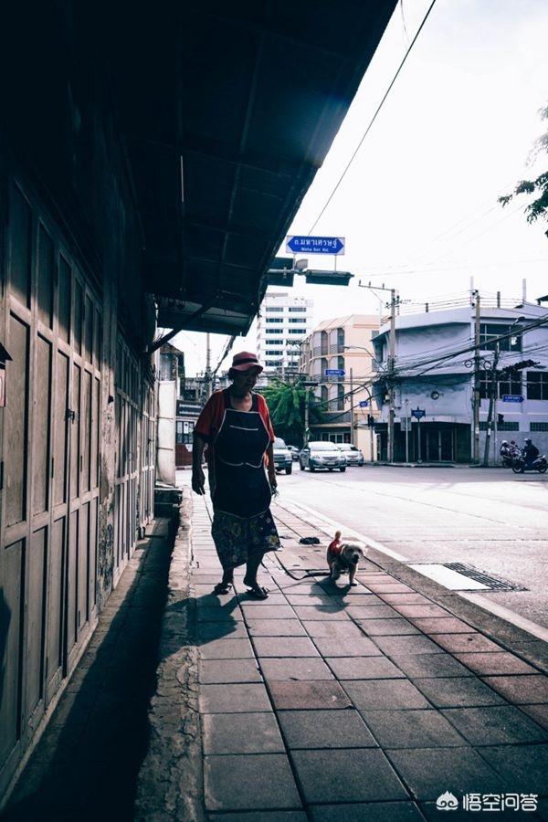 怎么训练狗匍匐前进:如何让狗狗总是走在你身后？