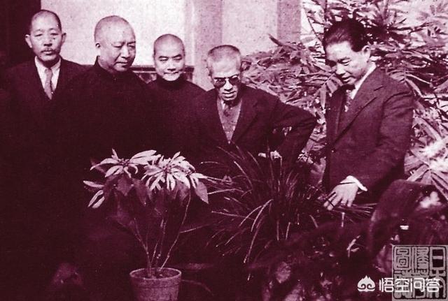 东北军将领:袁世凯的北洋大将无一汉奸，东北王“阀二代”手下为何叛将如云？