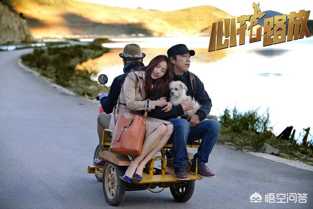 吴樾车震女主角:如何评价宁浩执导的电影《心花路放》