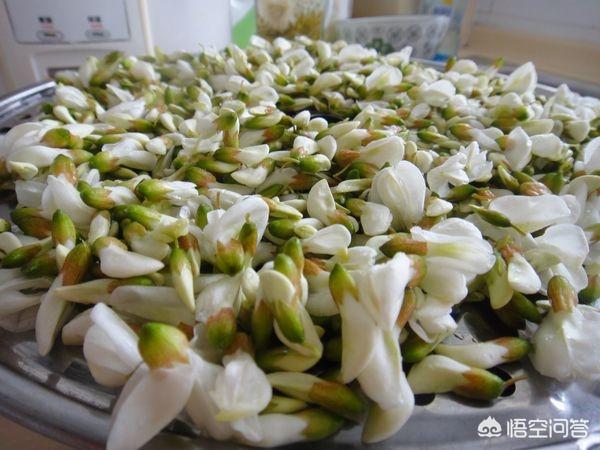 刺槐图片:刺槐树苗图片 刺槐树的详细资料是怎样的？