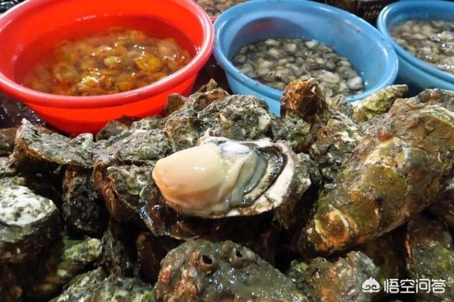 吃海蛎子壮阳吗，都说男人吃生蚝能壮阳是真的吗现在生蚝那么贵，养殖生蚝有前景吗