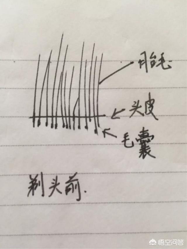 剃胎毛:新生儿胎毛要不要剃，如何科学的剃？ 剃胎发