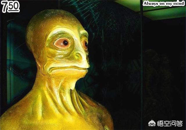 所谓"恐人"指的是由恐龙进化来的智商高超的人型生