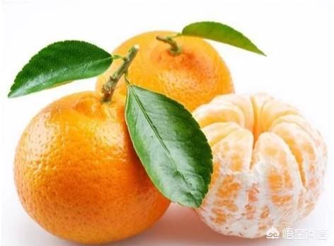橘子壮阳吗，吃橘子有什么好处吃多会上火吗