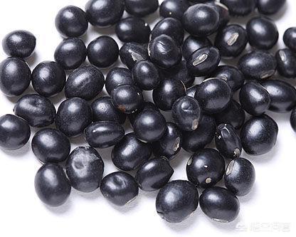 黑豆可以补肾吗，“补药一堆不如黑豆一把”，为什么说黑豆是真正的“养生高手”？