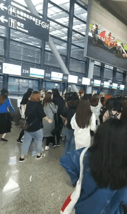 网曝杨紫机场被砸:网曝杨紫机场被砸，理智追星不好吗？