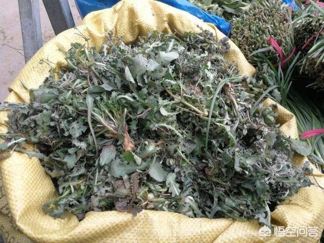 周公解梦梦见竹笋是什么意思,在农村，如何做无成本生意？