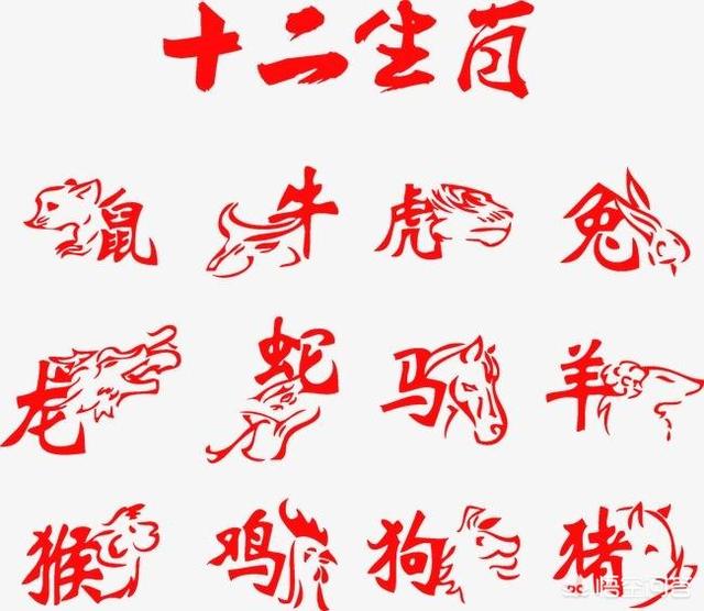 十二生肖为什么没有猫:为什么十二生肖中没有猫？
