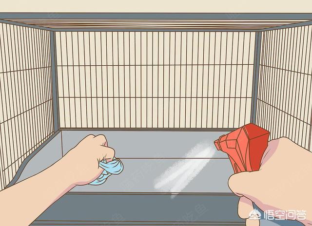 北非沙鼠要多大的笼子:家里养宠物，如何净化空气？