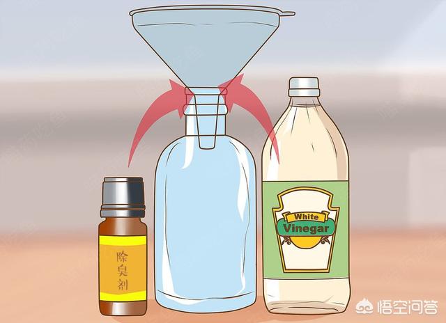 北非沙鼠要多大的笼子:家里养宠物，如何净化空气？