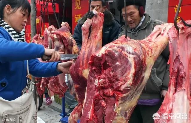 2020西施犬价格行情:明年的牛羊肉价格会怎么样？