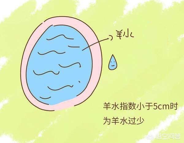 胎心高,羊水好,会缺氧胎停吗？
