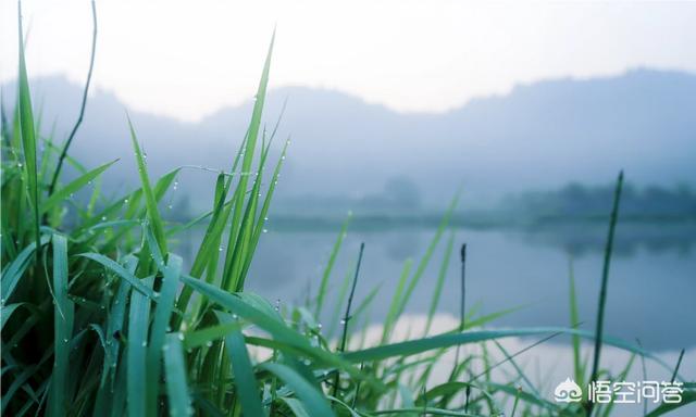 风靡<a href=https://maguai.com/list/256-0-0.html target=_blank class=infotextkey><a href=https://maguai.com/list/256-0-0.html target=_blank class=infotextkey>朋友圈</a></a>的小瓶子:<a href=https://maguai.com/list/256-0-0.html target=_blank class=infotextkey><a href=https://maguai.com/list/256-0-0.html target=_blank class=infotextkey>朋友圈</a></a>到底是个什么地方？