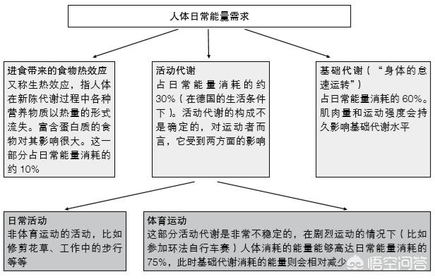 做什么可以减肚子:想要减掉大肚子，做仰卧起坐或者卷腹效果好吗？