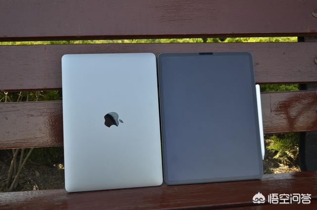 ipad我的第一只狗:你觉得你买回来的iPad香吗？