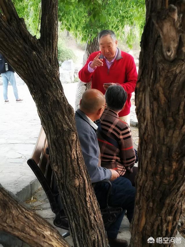 忆宠物摄影地址:给小哈士奇拍照的技巧是什么？