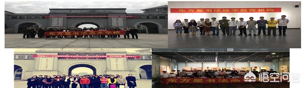 王佳宁:你如何评价王冬龄的书法博士学生王佳宁的书法
