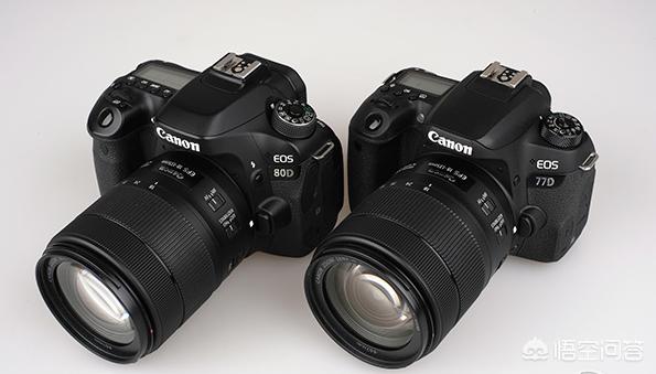 新手入门买佳能60d、70d、77d、80d、800d中哪个好？