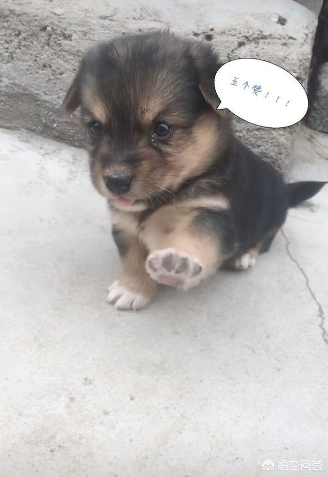 微信爱情表情图片大全:你最喜欢的<a href=https://maguai.com/list/39-0-0.html target=_blank class=infotextkey>搞笑</a>表情包是哪一张？(表情包 搞怪 表情)