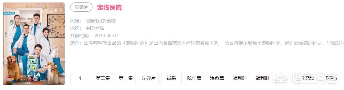 狗狗宠物医院小游戏:铲屎官面对宠物医院该如何做？ ？