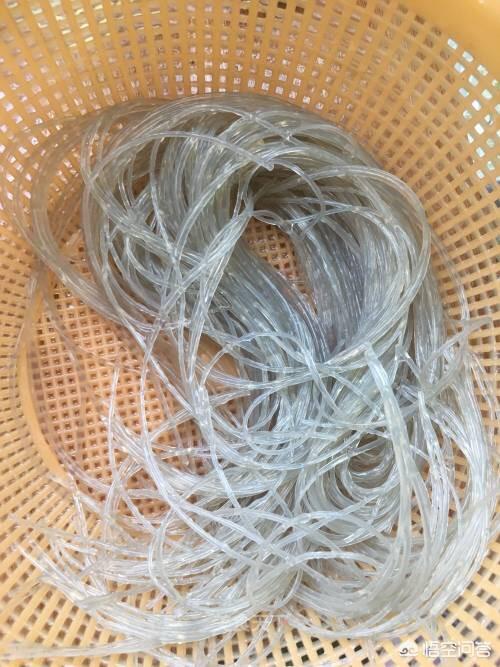海鲜遇上烤粉丝怎么做？