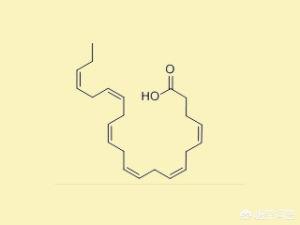 脑黄金,我们是否需要贵气的脑黄金？