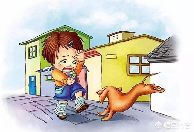 上海流浪狗:狂犬病致死率近100%，城乡养狗普遍，流浪狗泛滥，该怎么办？ 上海流浪狗收养中心