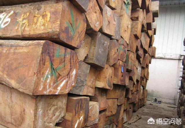 缅甸花梨与刺猬紫檀哪个好？插图40