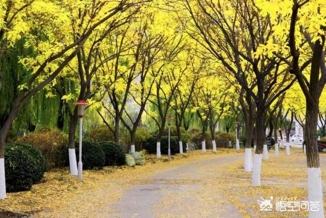 青岛理工大学灵异事件:位于淄博的山东理工大学好不好，是一所什么档次的大学？